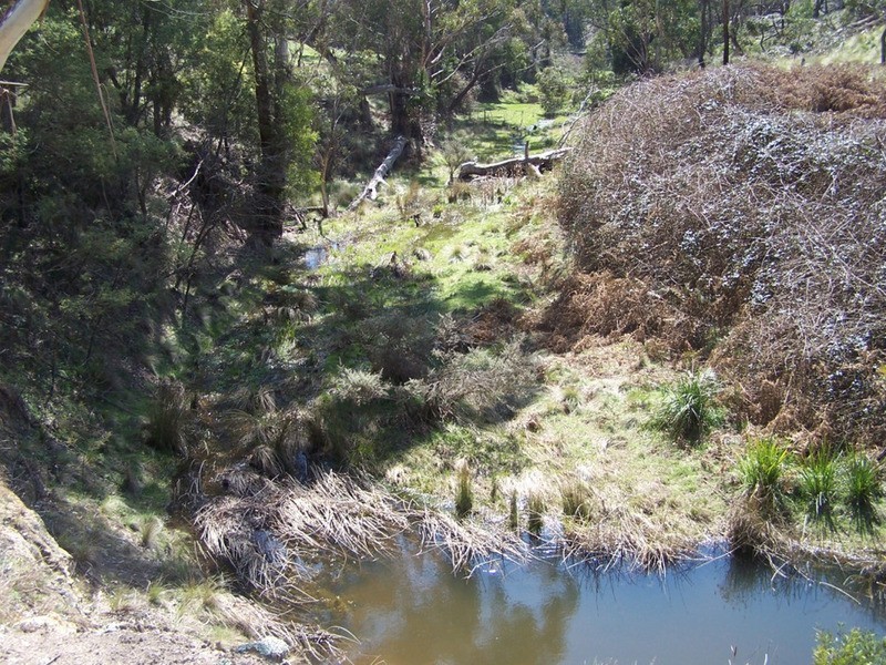 505 Back Arm Road, Middle Arm NSW 2580