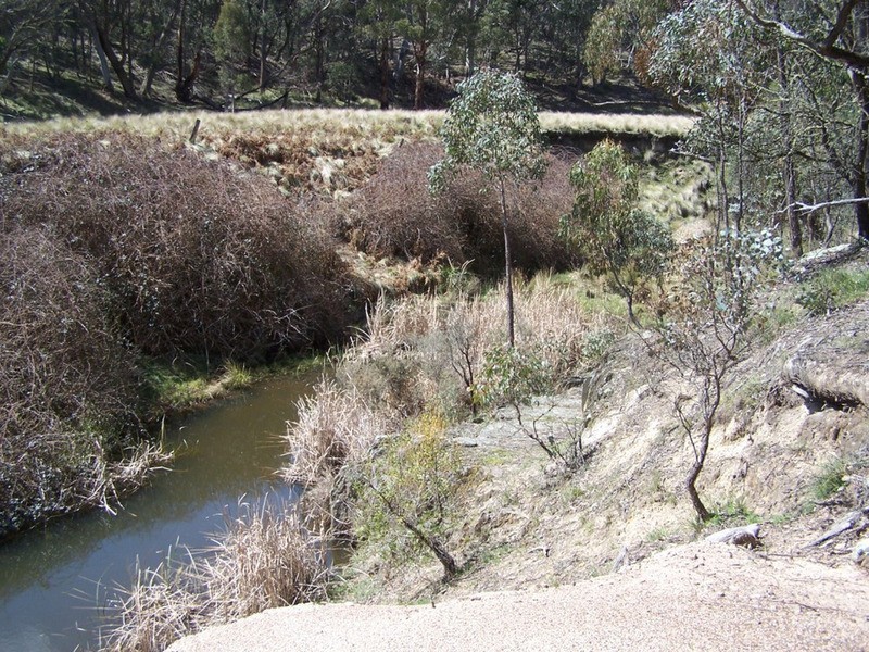505 Back Arm Road, Middle Arm NSW 2580