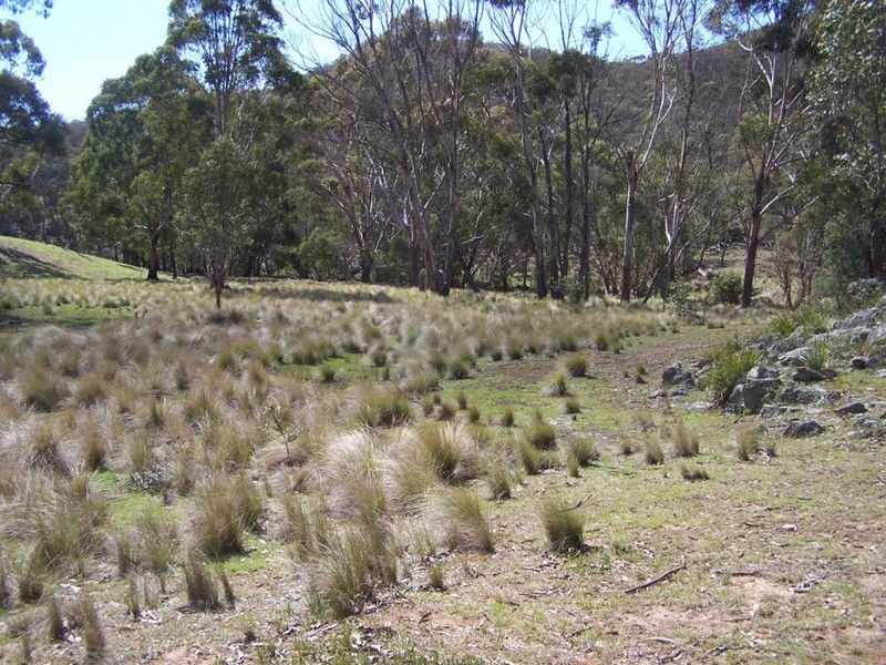 505 Back Arm Road, Middle Arm NSW 2580