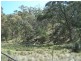 505 Back Arm Road, Middle Arm NSW 2580