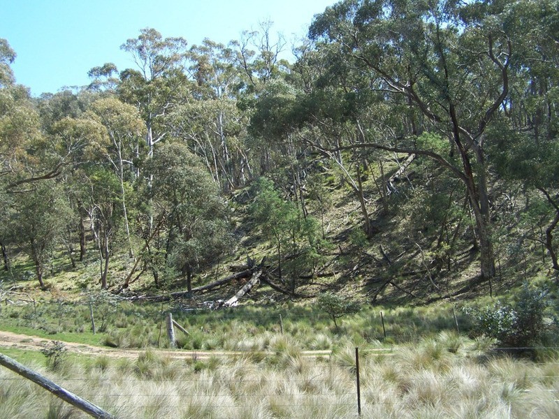 505 Back Arm Road, Middle Arm NSW 2580