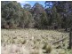 505 Back Arm Road, Middle Arm NSW 2580