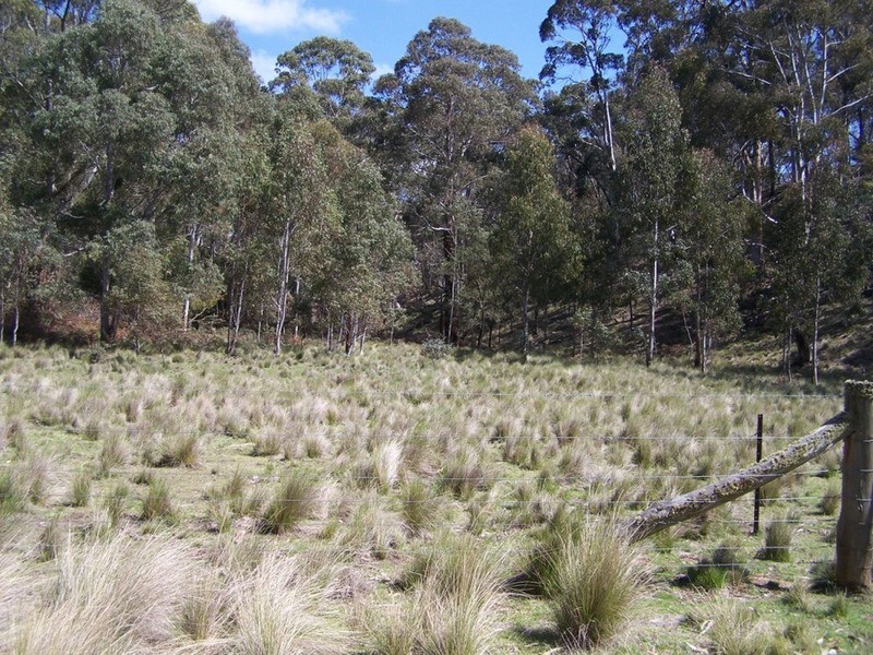 505 Back Arm Road, Middle Arm NSW 2580