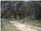 505 Back Arm Road, Middle Arm NSW 2580