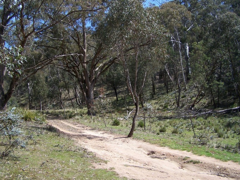 505 Back Arm Road, Middle Arm NSW 2580