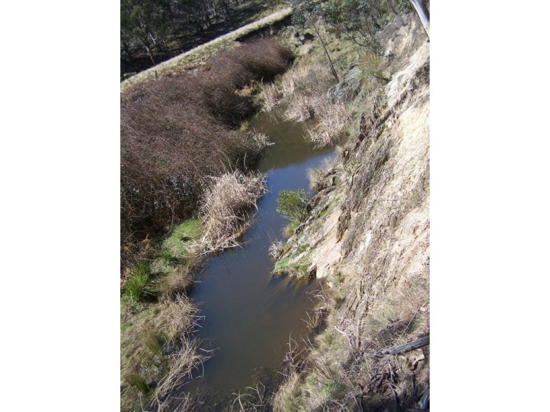 505 Back Arm Road, Middle Arm NSW 2580
