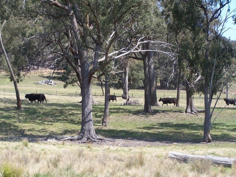 ” Weerona” 1031 Taralga Road, Goulburn NSW 2580