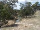269 Sturgess Road, Tarago NSW 2580