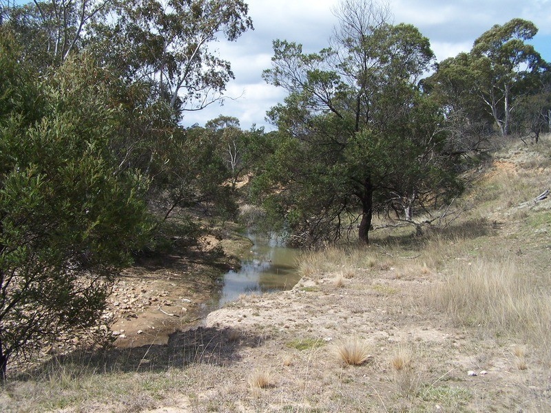 269 Sturgess Road, Tarago NSW 2580