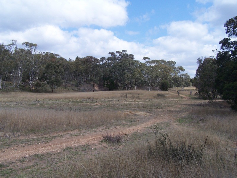 269 Sturgess Road, Tarago NSW 2580