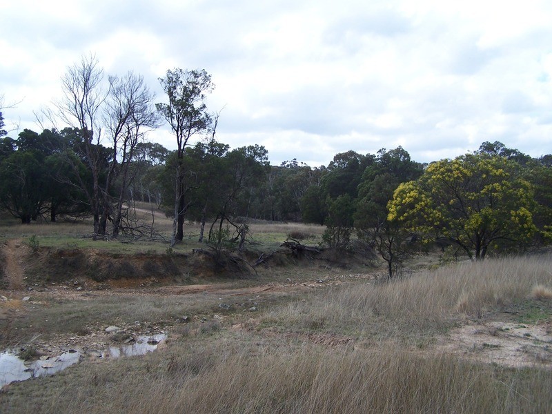 269 Sturgess Road, Tarago NSW 2580