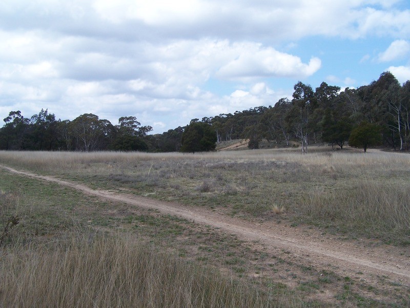 269 Sturgess Road, Tarago NSW 2580