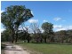 238 Hogans Road, Fullerton NSW 2583