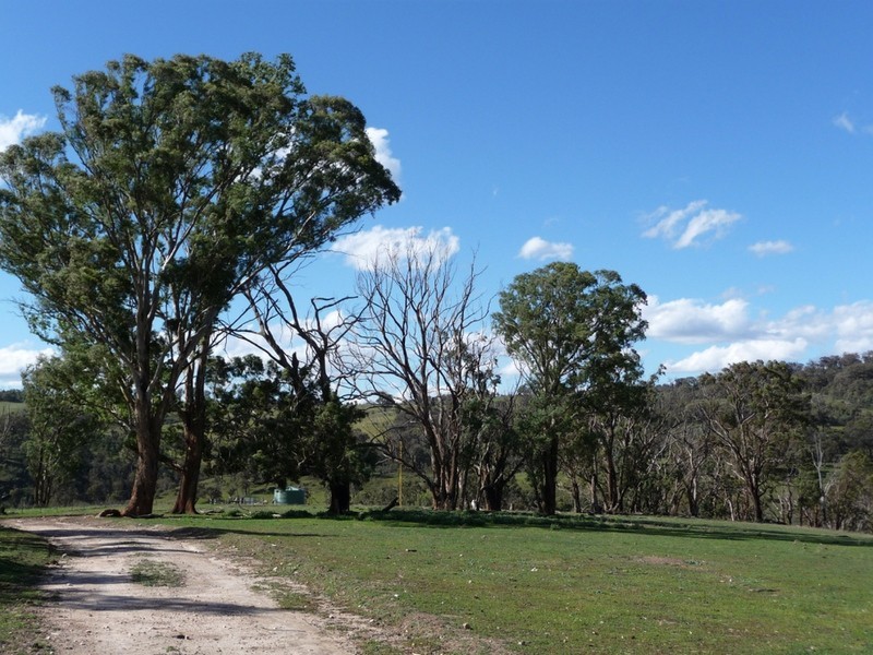 238 Hogans Road, Fullerton NSW 2583