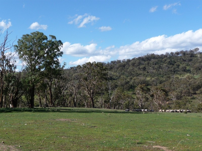 238 Hogans Road, Fullerton NSW 2583