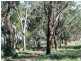 238 Hogans Road, Fullerton NSW 2583