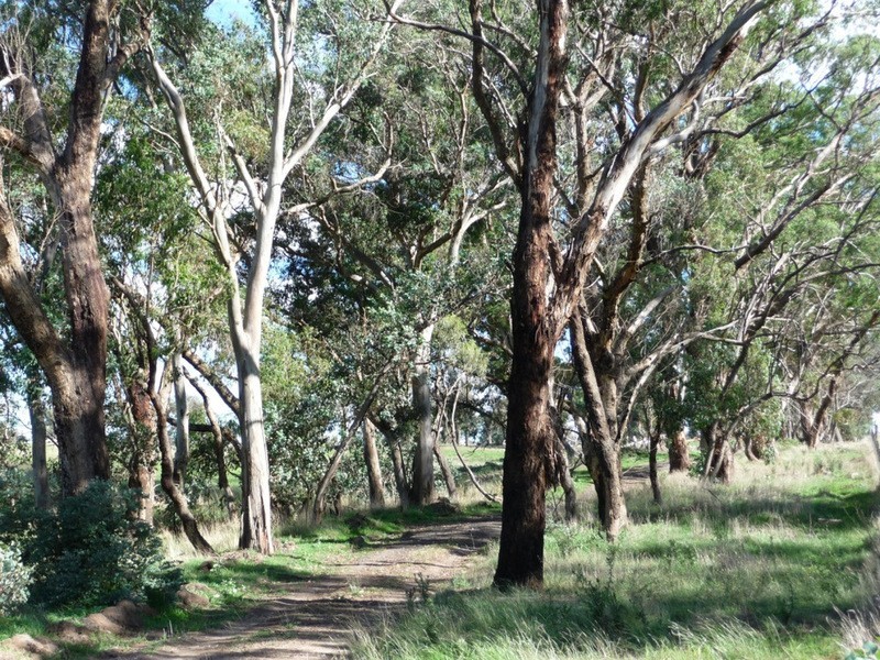 238 Hogans Road, Fullerton NSW 2583
