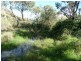 238 Hogans Road, Fullerton NSW 2583