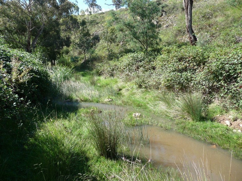 238 Hogans Road, Fullerton NSW 2583