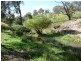 238 Hogans Road, Fullerton NSW 2583