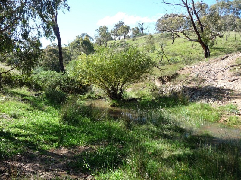238 Hogans Road, Fullerton NSW 2583