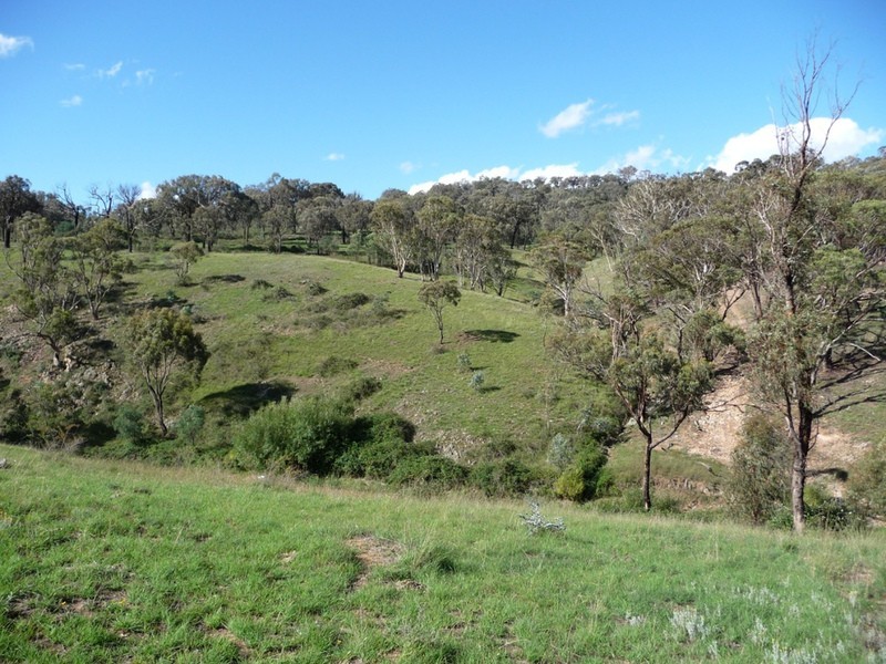 238 Hogans Road, Fullerton NSW 2583