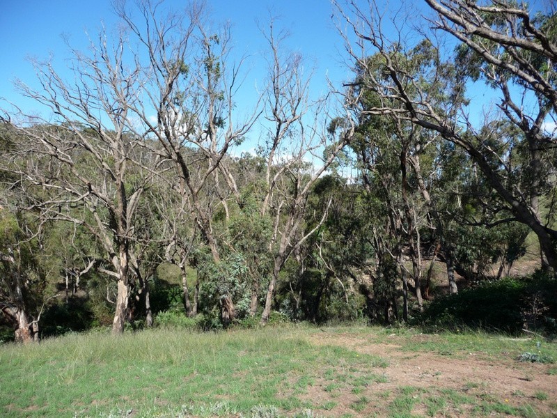 238 Hogans Road, Fullerton NSW 2583