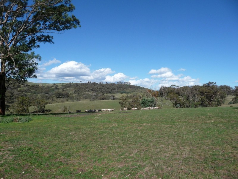 238 Hogans Road, Fullerton NSW 2583