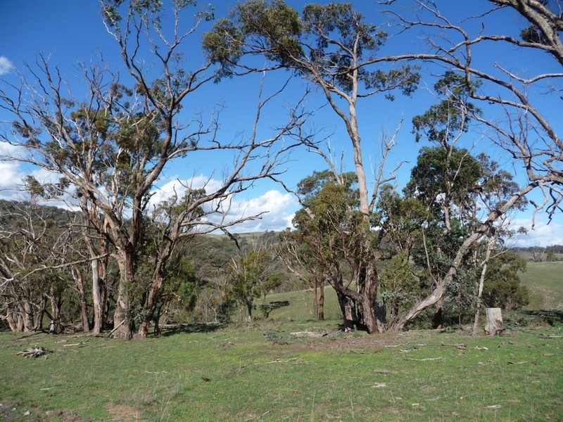 238 Hogans Road, Fullerton NSW 2583
