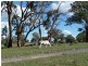 238 Hogans Road, Fullerton NSW 2583