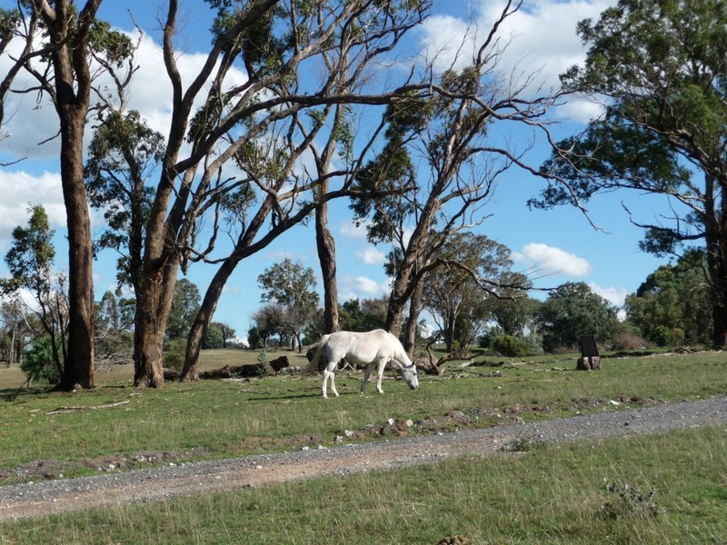 238 Hogans Road, Fullerton NSW 2583