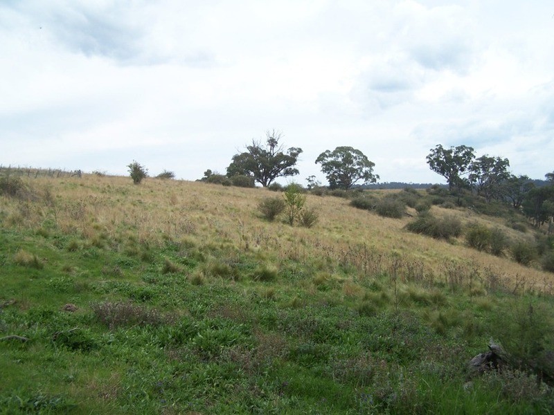 Lot 3 Fullerton Road, Fullerton NSW 2583