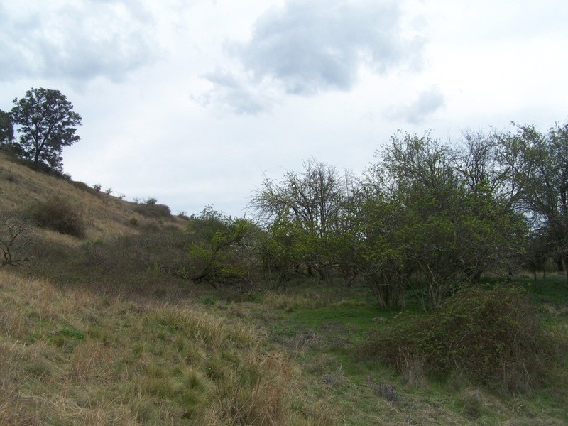 Lot 3 Fullerton Road, Fullerton NSW 2583