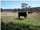 1269 Taralga Road, Goulburn NSW 2580