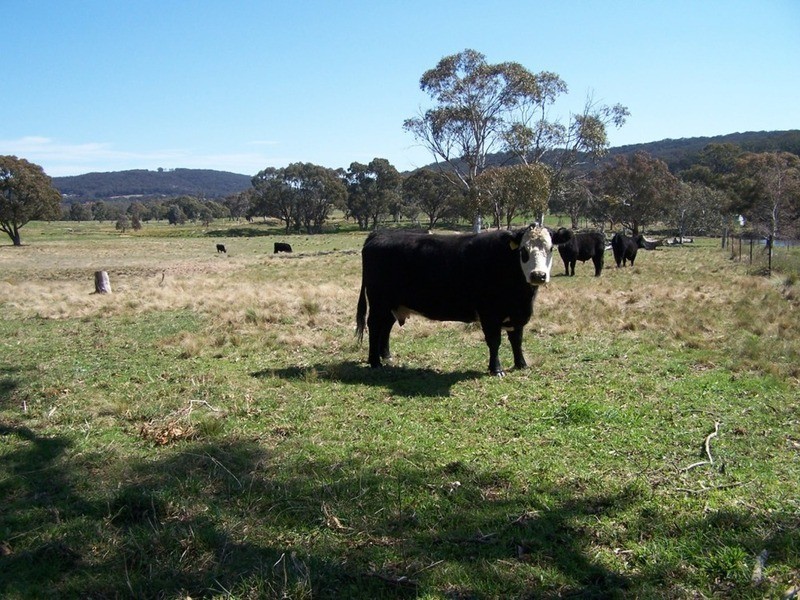 1269 Taralga Road, Goulburn NSW 2580