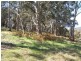 1269 Taralga Road, Goulburn NSW 2580