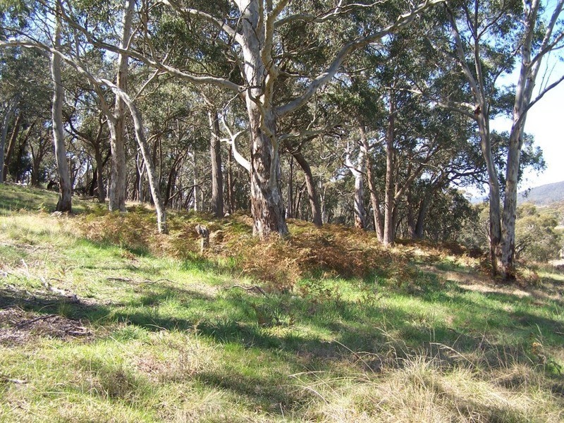 1269 Taralga Road, Goulburn NSW 2580