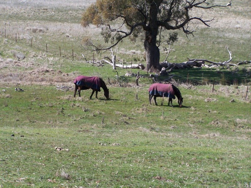 408 Grabben Gullen Road, Grabben Gullen NSW 2583