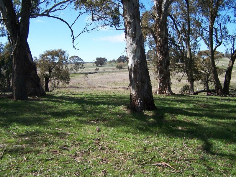 408 Grabben Gullen Road, Grabben Gullen NSW 2583