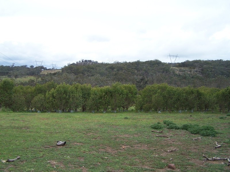 424 Canyonleigh Road, Brayton NSW 2579