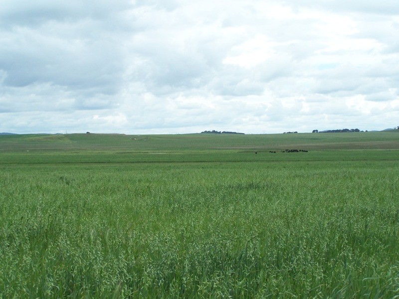 Lot 5 Painters Lane, Goulburn NSW 2580