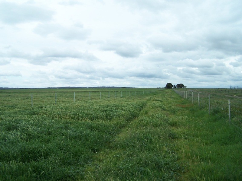 Lot 5 Painters Lane, Goulburn NSW 2580