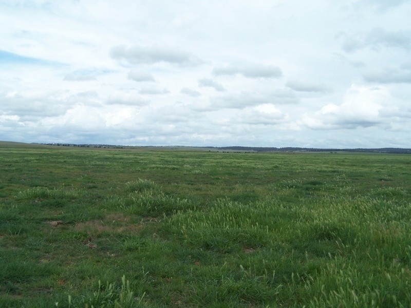 Lot 5 Painters Lane, Goulburn NSW 2580