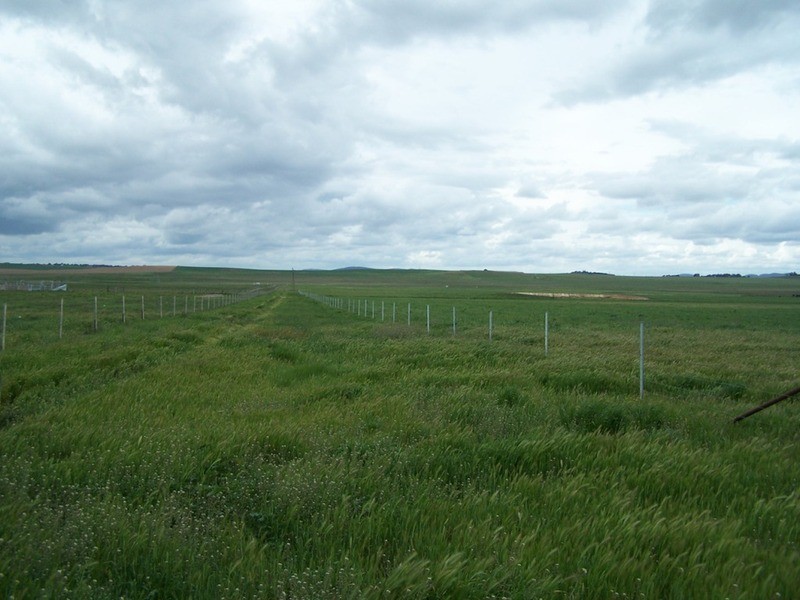 Lot 5 Painters Lane, Goulburn NSW 2580