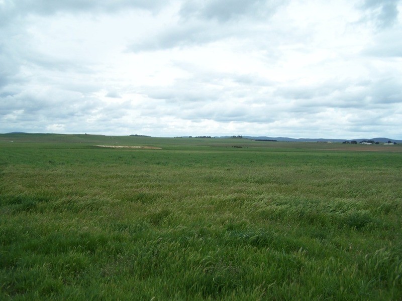 Lot 5 Painters Lane, Goulburn NSW 2580