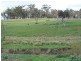 1113 Cuddyong Road, Laggan NSW 2583