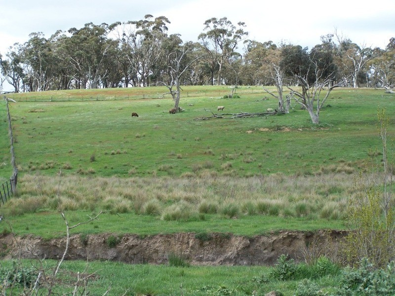 1113 Cuddyong Road, Laggan NSW 2583