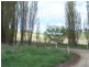 1113 Cuddyong Road, Laggan NSW 2583