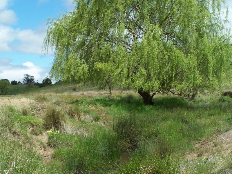 1113 Cuddyong Road, Laggan NSW 2583