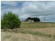 1113 Cuddyong Road, Laggan NSW 2583